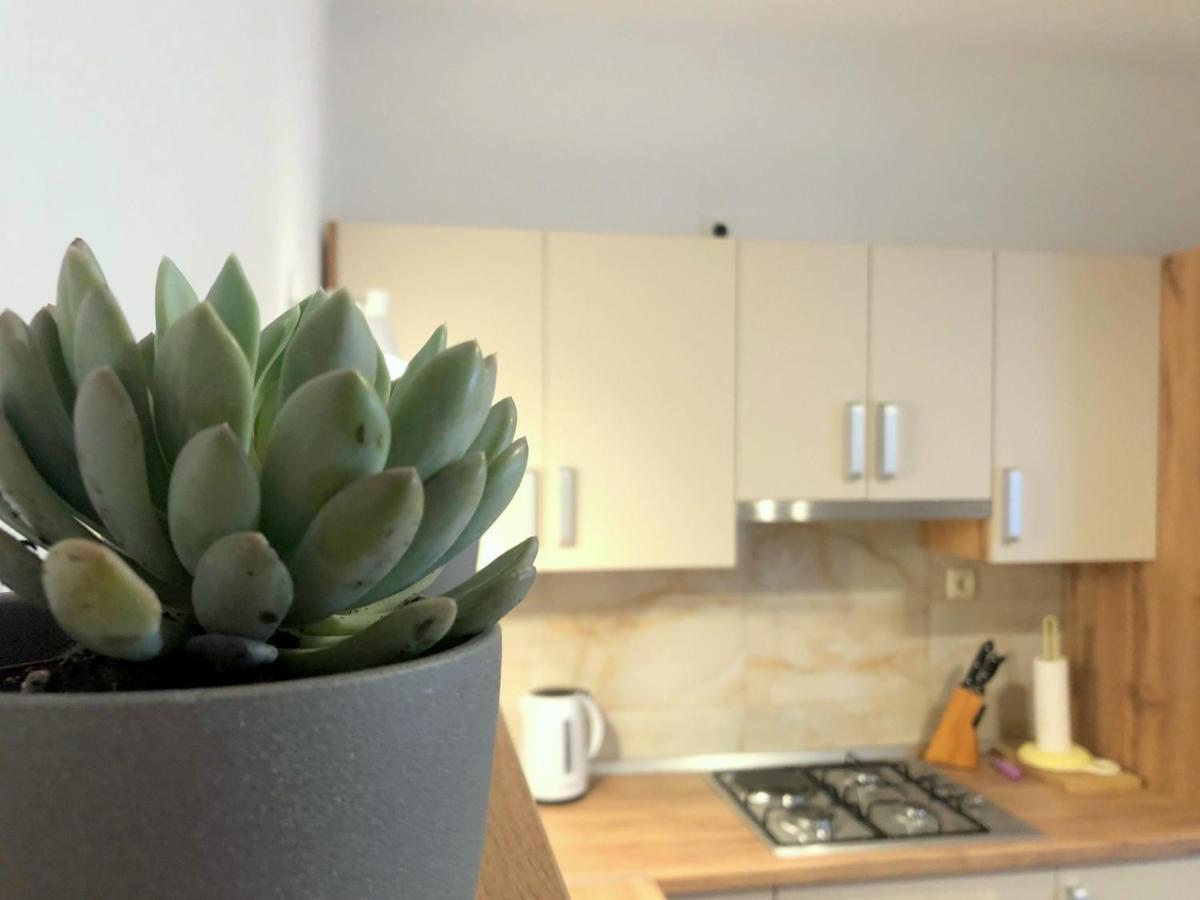 Zoro Apartments Palit Eksteriør bilde